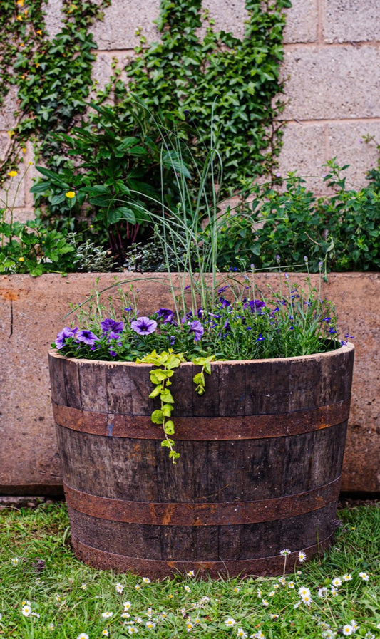 Oak Half Whiskey Barrel Planter/Pond