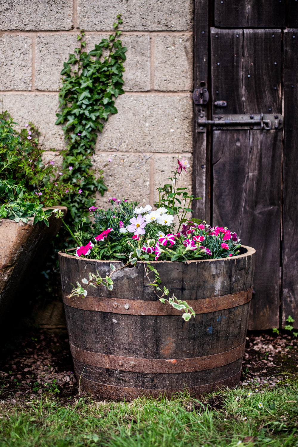 Oak Half Whiskey Barrel Planter/Pond