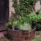 Quarter/Shallow Herb Planter/Pond