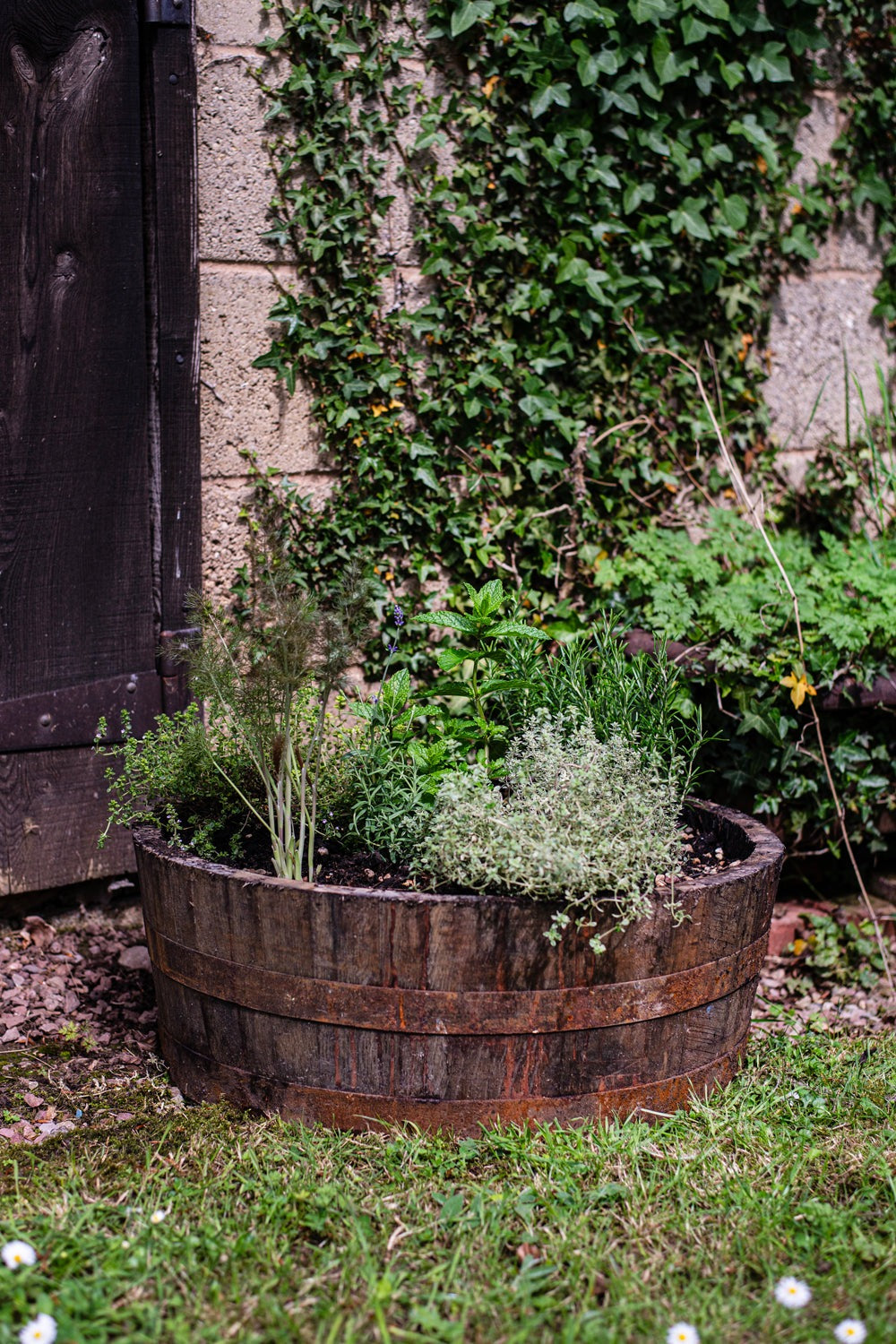 Quarter/Shallow Herb Planter/Pond