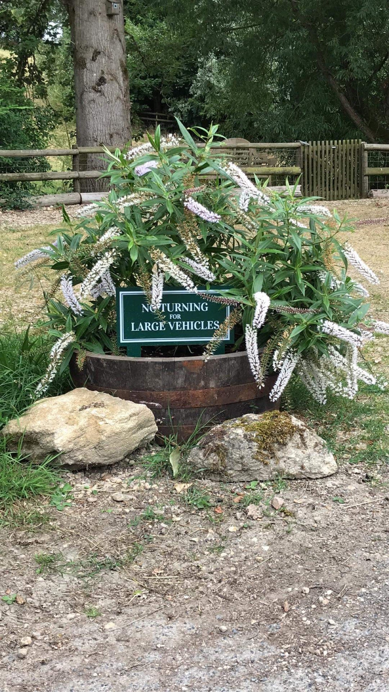 Quarter/Shallow Herb Planter/Pond